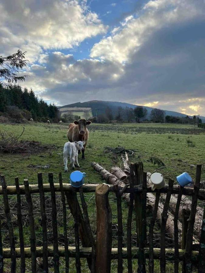 Aughavannagh Yurt Glamping Aughrim Kültér fotó