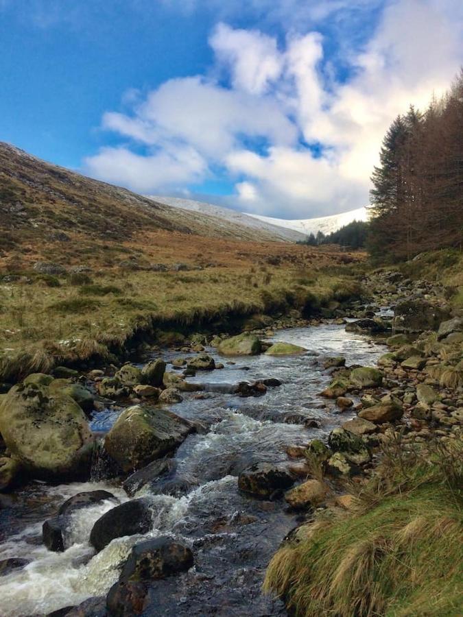 Aughavannagh Yurt Glamping Aughrim Kültér fotó