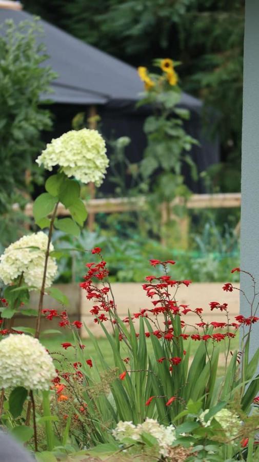Aughavannagh Yurt Glamping Aughrim Kültér fotó