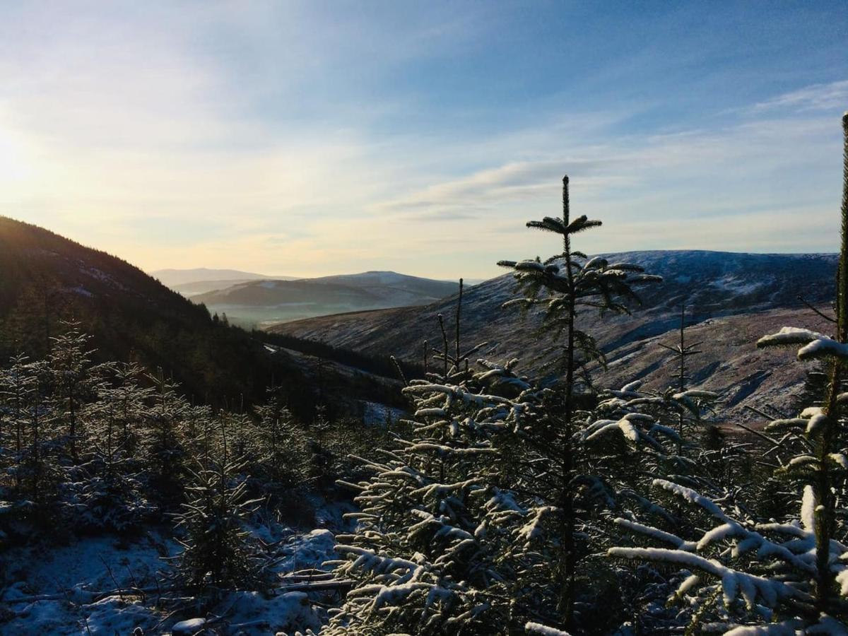 Aughavannagh Yurt Glamping Aughrim Kültér fotó